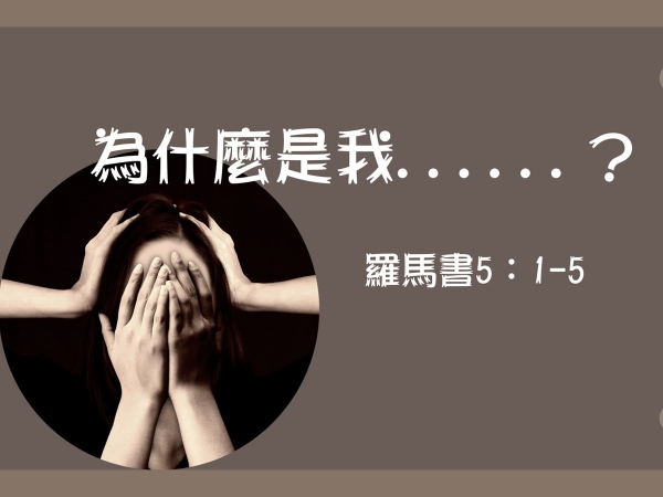 𝐍𝐎𝟒𝟏-為什麼是我······?