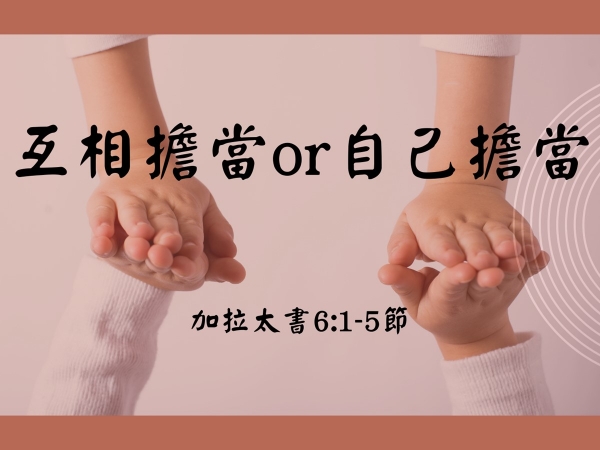 𝐍𝐎𝟒𝟐-互相擔當or自己擔當